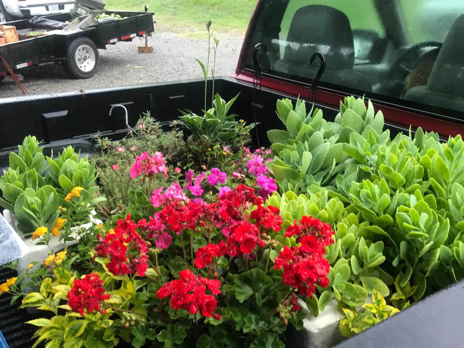 Rock Creek farmers market in Lewisburg, Tennessee