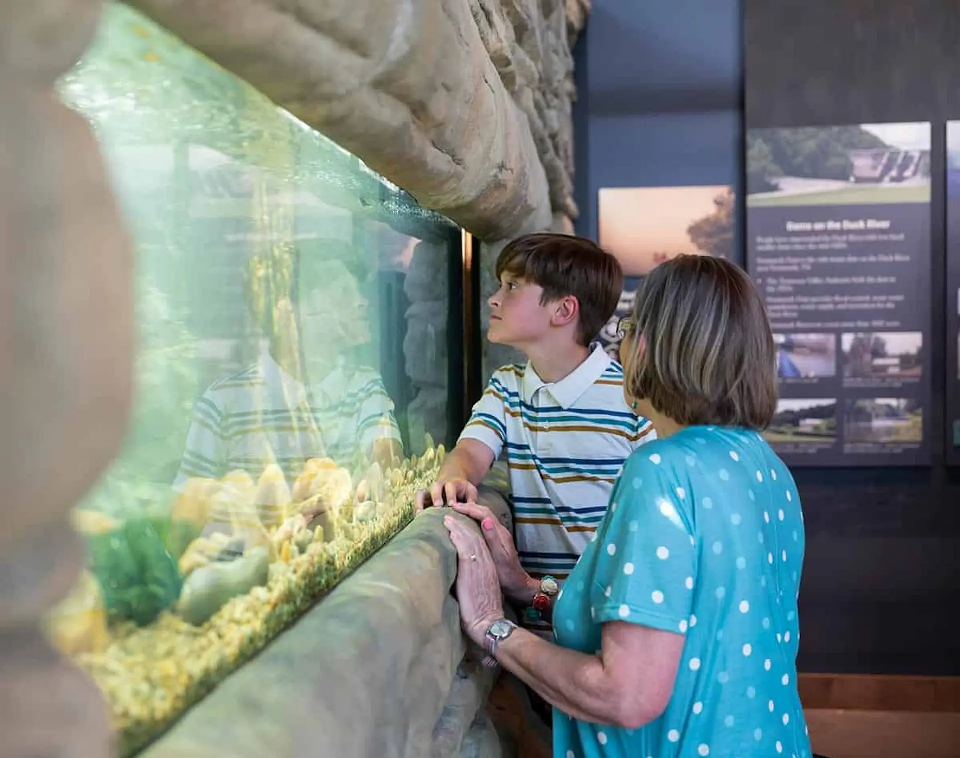 Duck River Education Room at Henry Horton State Park