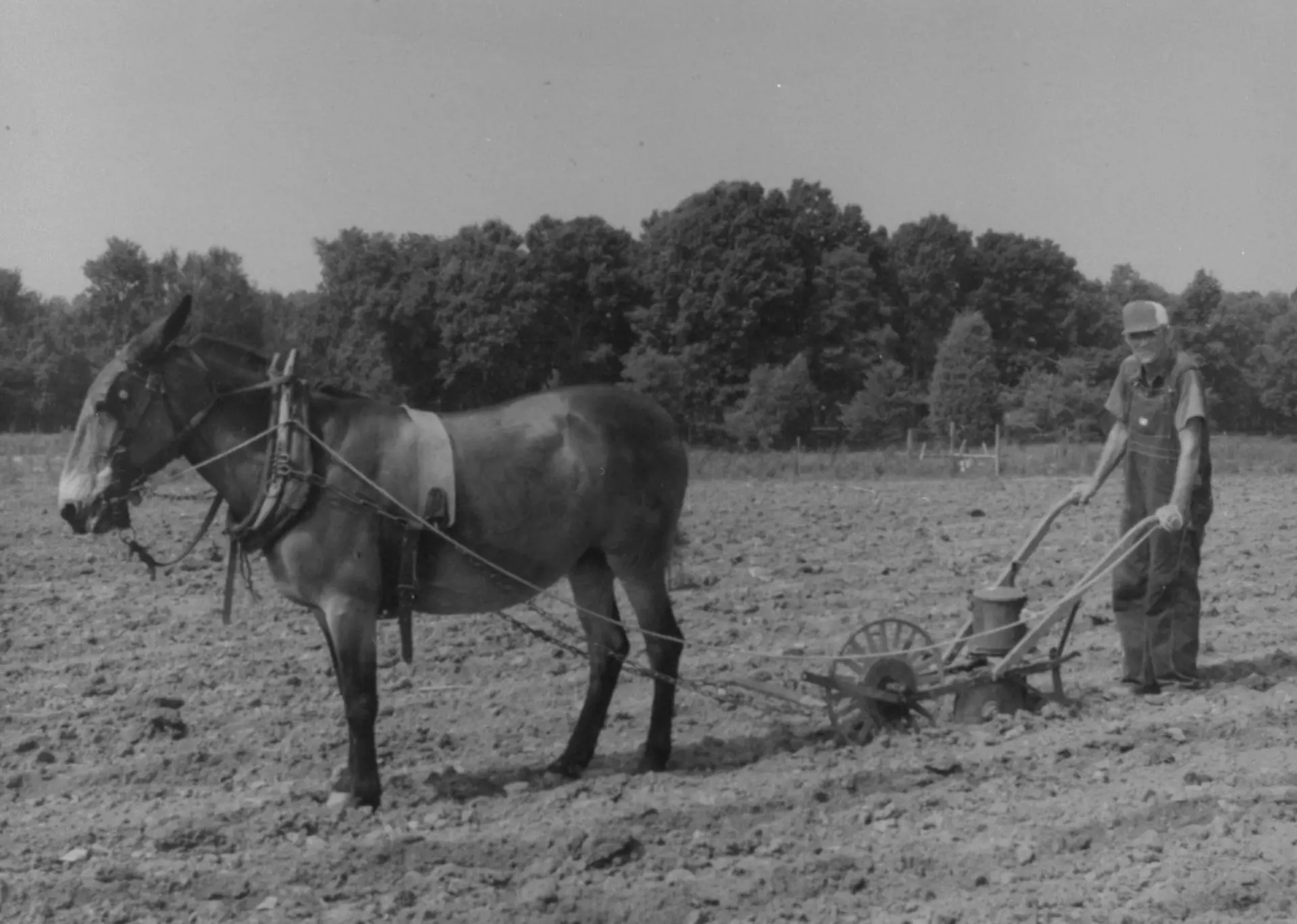 Historic agricultural landscape in Marshall County