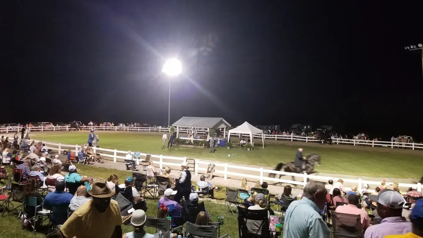 Rodeo action at a Marshall County event