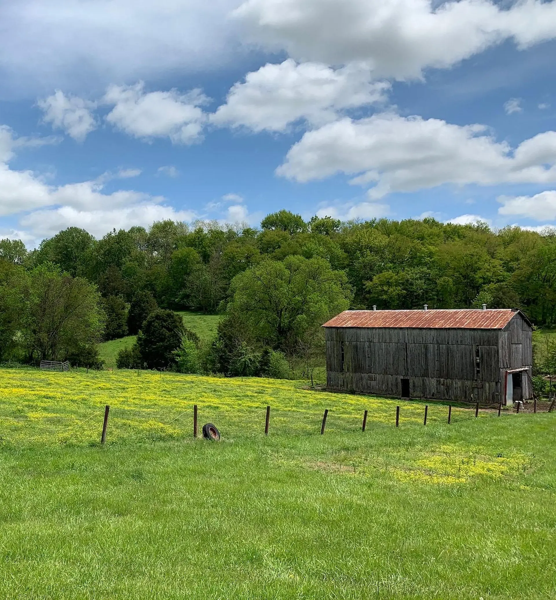 Barn at Pickens Hollow in Marshall County